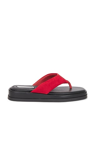 Bella Sandal Steve Madden