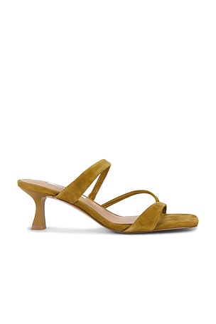 Ajay Sandal Steve Madden