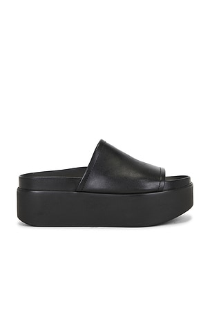Arwen Sandal Steve Madden