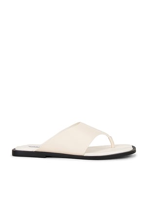 Illia Sandal Steve Madden