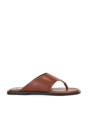 Illia Sandal Steve Madden