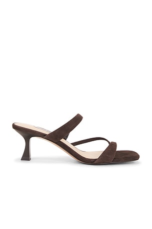 Ajay Sandal Steve Madden