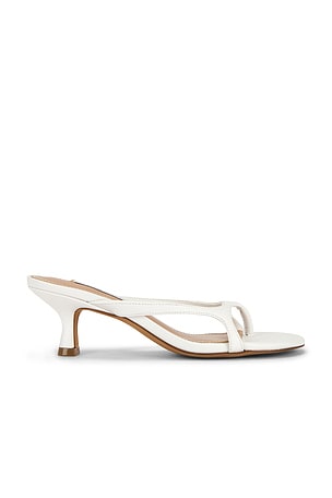Brienna Sandal Steve Madden