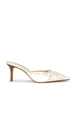 Alexi Studded Mule Steve Madden