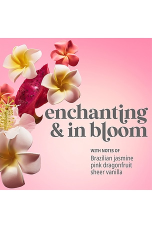 Sol de Janeiro Beija Flor Biggie Biggie in Beauty: NA