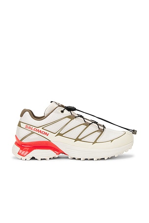 Xt-pathway 2 Salomon