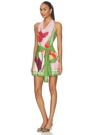 SOVERE Kalea Mini Dress in Pink,Green
