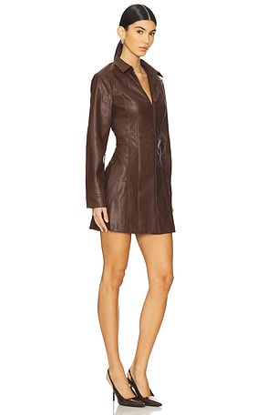 SOVERE Sway Shirt Dress in Brown