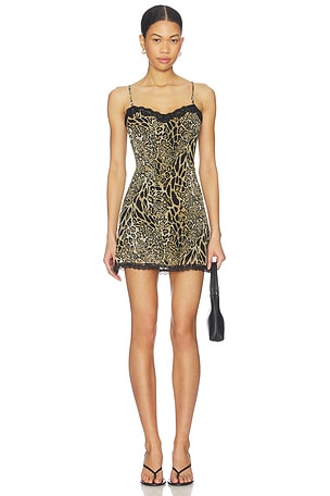 Assa Mini Dress superdown