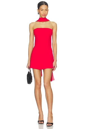 Jayleen Mini Dress superdown