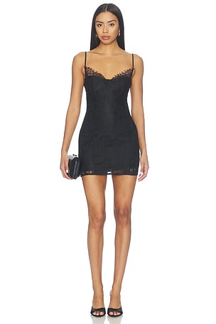Haven Mini Dress superdown