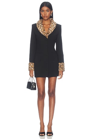 Franceska Mini Dress superdown