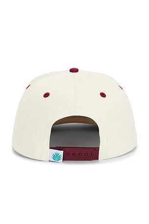 Sendero Provisions Co. Cowboy Hat Panel Hat