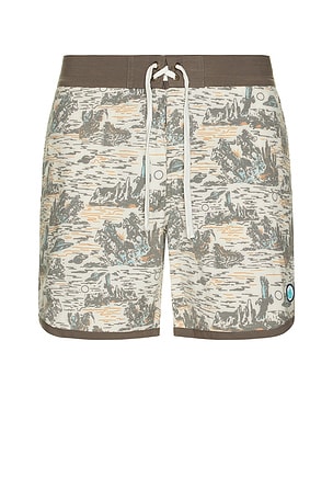 Point Bar Boardshorts Sendero Provisions Co.