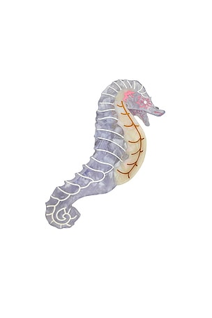 Hand-painted Seahorse Claw Hair Clip Solar Eclipse
