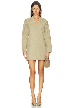 Tanya Suede Dress SRG