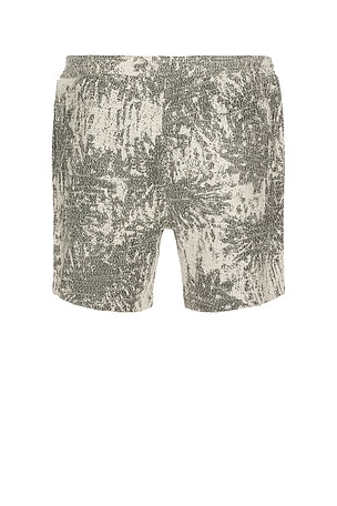 SAMSOE SAMSOE Sajabari Shorts in Grey