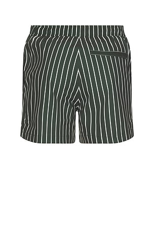 SAMSOE SAMSOE Moses Swim Shorts in Green