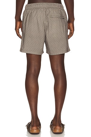 SAMSOE SAMSOE Moses Swim Shorts en Marron