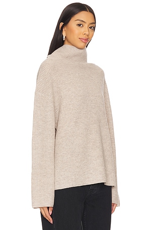 SAMSOE SAMSOE Sazlata Turtleneck in Tan