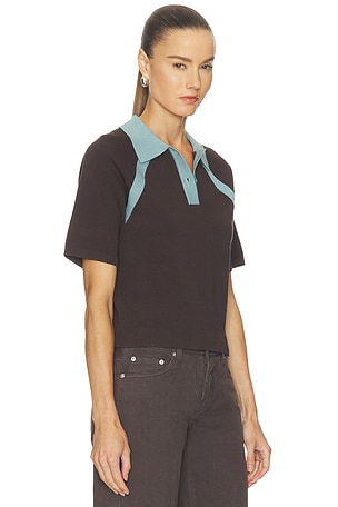 SAMSOE SAMSOE Sasimona Polo in Brown