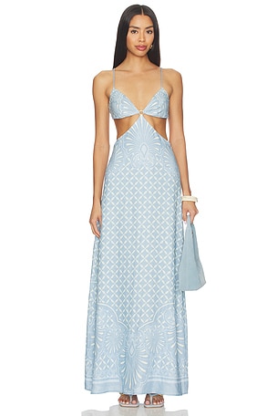 Maya Maxi Dress Shani Shemer