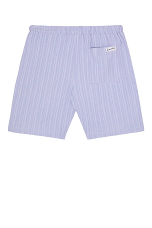 Scotch & Soda Tonal Striped Shorts in Lavender