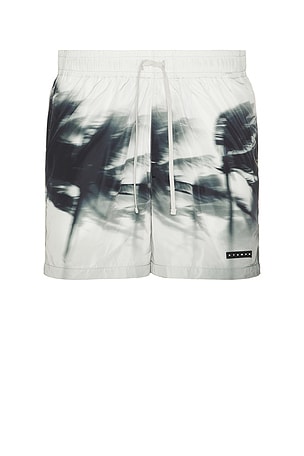Palms In Motion Trunk Stampd