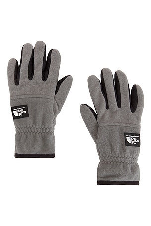 Etip Heavyweight Fleece Gloves The North Face