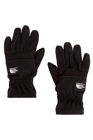 Etip Heavyweight Fleece Gloves The North Face