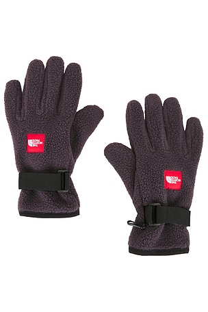 Red Box Fleece Glove The North Face