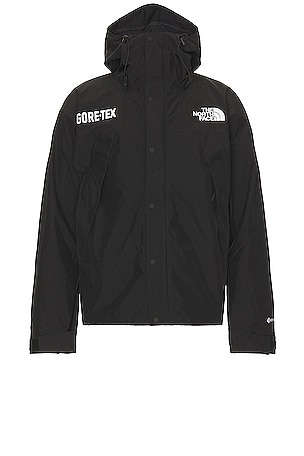 Gtx Mountain Jacket The North Face