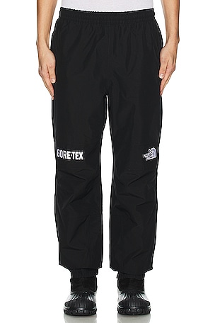 Gtx Mountain Pants The North Face