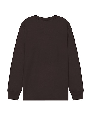 Theory Essential Long Sleeve Tee in Brown