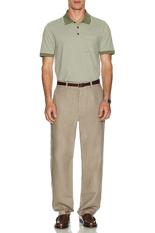 Birdseye Polo Theory