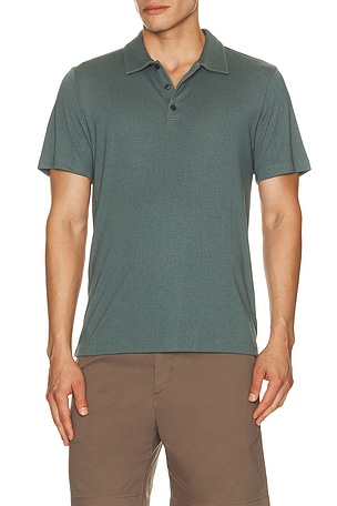 Bron Polo Theory
