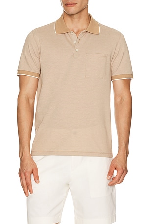 Birdseye Polo Theory