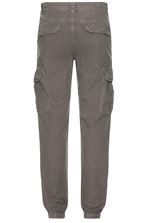 Tommy Jeans Ryan Cargo Pants in Grey