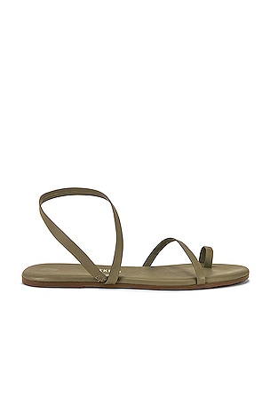 Coach Natalee Jelly Slingback Thong Sandals In Green | ModeSens