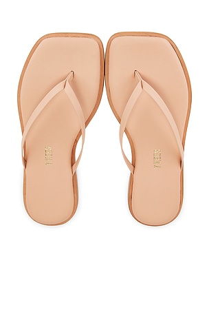 Dylan Sandal TKEES