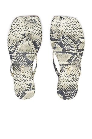 Square Toe Lily Sandal TKEES