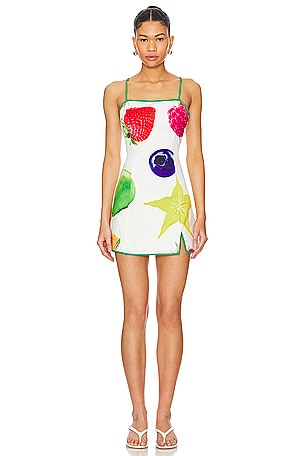 Fruit Basket Dress Tyler McGillivary