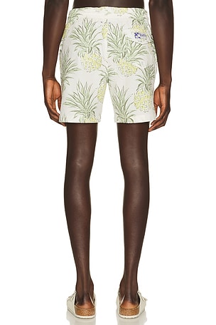 Trunks Surf & Swim Co