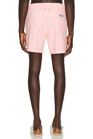 Trunks Surf & Swim Co