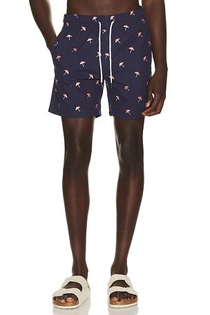 SHORT DE BAIN SANO Trunks Surf & Swim Co.