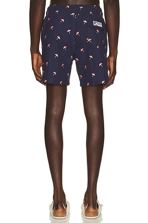 Trunks Surf & Swim Co