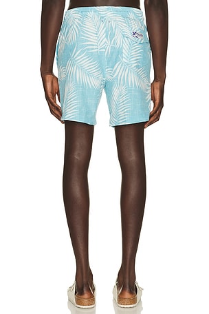 Trunks Surf & Swim Co