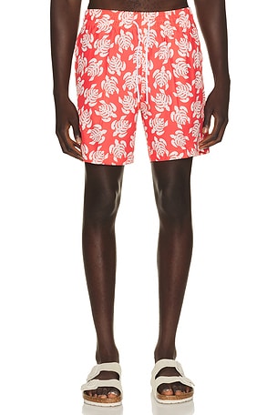 Sano 6.5" Swim Short Trunks Surf & Swim Co.