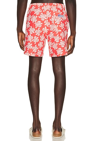 Trunks Surf & Swim Co