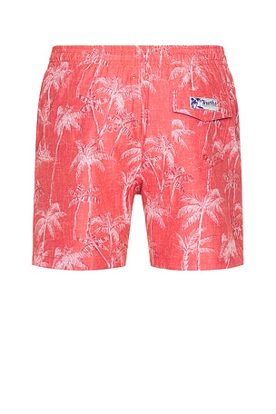 Trunks Surf & Swim Co